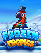 เรียนรู้ sbobet ทาง เข้า วิธีเล่นเพื่อทำกำไรสูงสุด