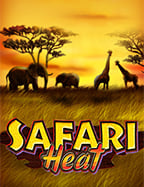 สูตรแทงบอล sbobet ที่คุณไม่ควรพลาด